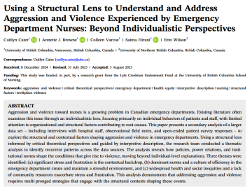Using a Structural Lens to Understand and Address Aggression and Violence Experienced by Emergency Department Nurses: Beyond Individualistic Perspectives